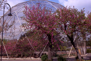 foto della voliera d'alto volo